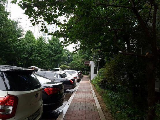 그냥...추가적으로 올리는 사진 친구한테 보냈던 사진이야. 집 안에 들어와서 영통까지 했어... 여하튼 오늘은 겪은건 여기까지야... 이런 스레