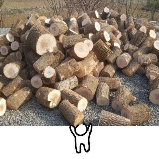(장작들고옴)