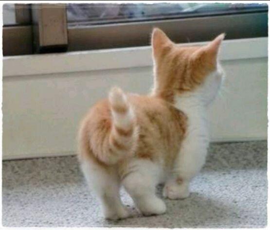 ㅇㅇ