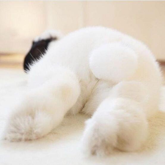 ㅇㅅㅇ