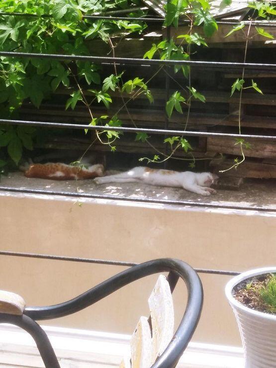 귀엽지