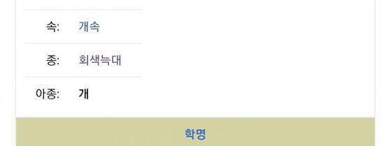 후대에 다른 종으로 분화될 가능성이 크다고 보여지고는 있음
