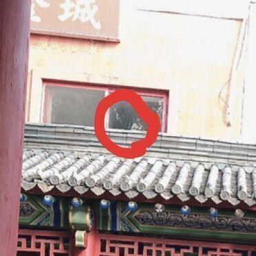 확대샷 화질 미안 ㅎ.ㅎ 머리 부분이 까매서 보면볼수록 귀신같아 ㅋㅋㅋㅋㅋ