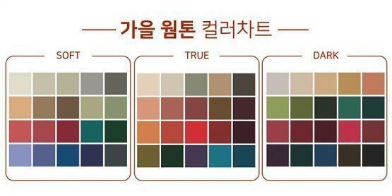 >>10 추가로 가을웜톤 컬러 팔레트들이래 그리고 갈웜이 갈웜 중에서도 소프트-트루-다크(딥) 이렇게 3가지로 나뉘니까 첨부한 사진들 중 3가지