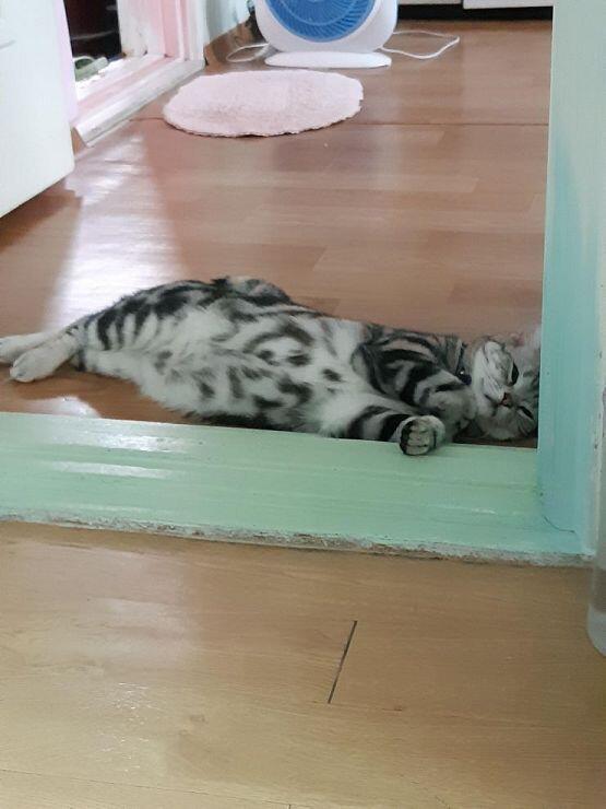 응!!
