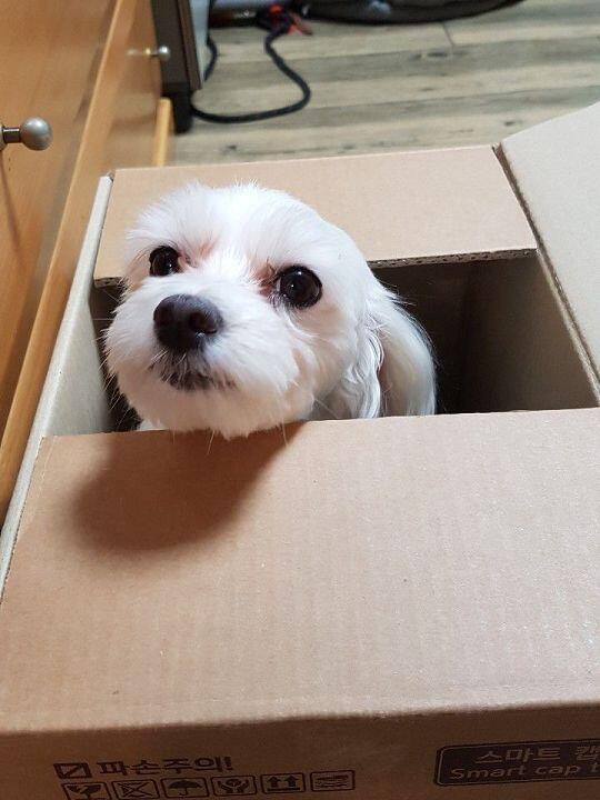 레주 힘내!!