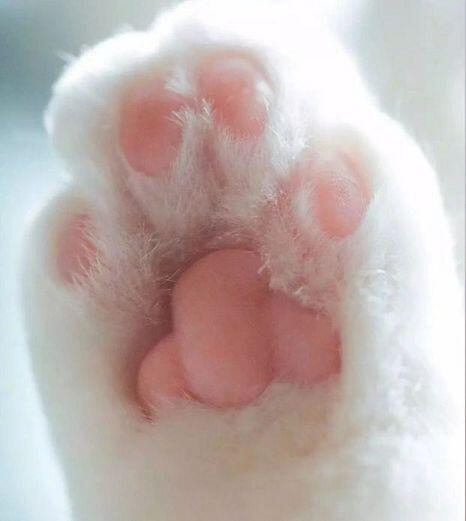 레주랑.. 새주 둘다 마음고생 심하게 했겠다.... 새주 가뜩이나 마음고생 많던 앤데.... 새주... 내폰 잠금화면 보고 힘내....ㅜㅜ 새주