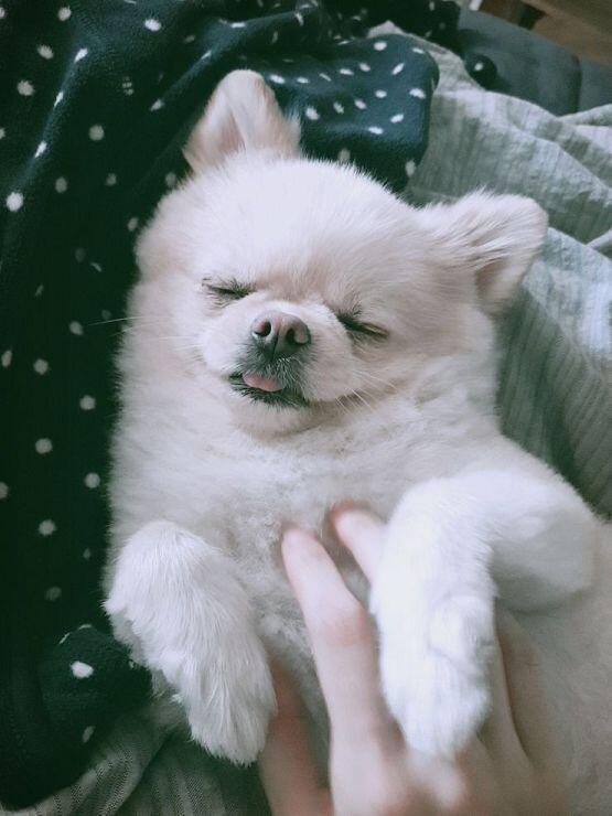 내가 괜히 더 긴장되고 그러네.... 괴담판에서부터 새주 봐서 그런가 괜히 나도 막 그러나봐. 상처받지 않았으면 좋겠다. 새주랑 스레주랑 둘다