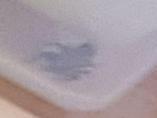 내가 마지막으로 찍은 라미챤 사진. 그리고 사진을 찍었던 그 날, 돌아와서 확인해보니 라미챤은 사라져있었다.
