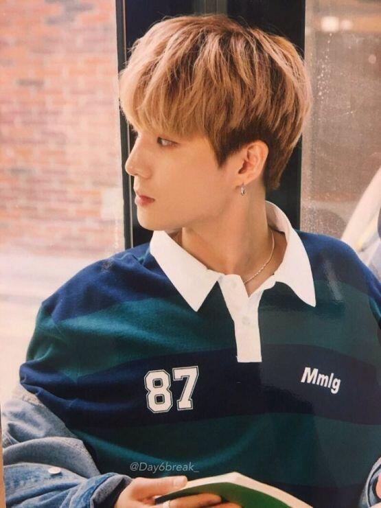 고양이는 아니고 여우상인데 아이돌은 아니지만 영케이?
