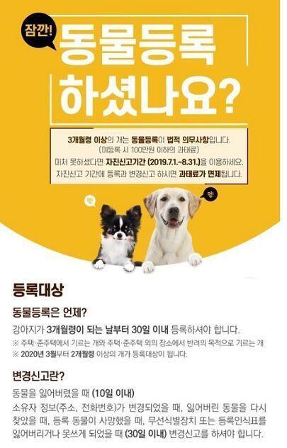 ㅎㅇ... 스레주임 벌금 백만원... 정말 무시무시해서 겨우겨우 설득했다 다행히 이번주 안에 갈 수 있을거 같아 내장형은 불안해서 외장형 할 생