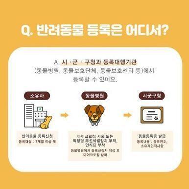 ㅎㅇ... 스레주임 벌금 백만원... 정말 무시무시해서 겨우겨우 설득했다 다행히 이번주 안에 갈 수 있을거 같아 내장형은 불안해서 외장형 할 생