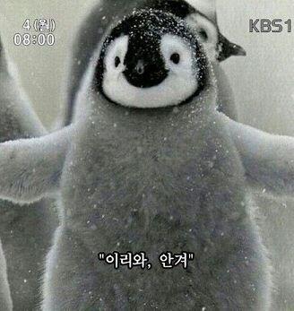 이 짤들 괜찮으려나...? 두번째는 윙크하는 펭귄이야