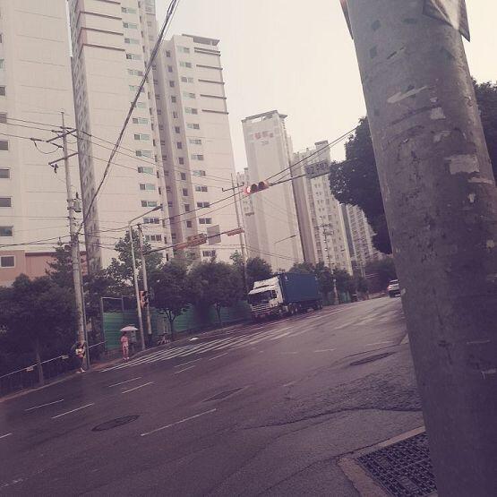 여긴 부산임 방금까지 노랬다가 분홍색 됨