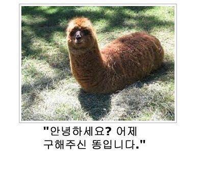 응깃