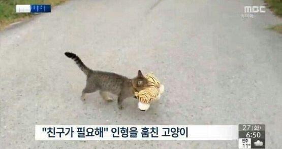 노잼이라 미안미안해