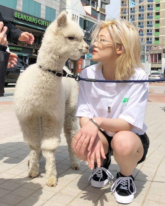 황소윤 죽도록 사랑해