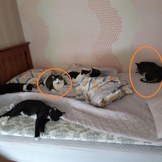 이렇게인가
