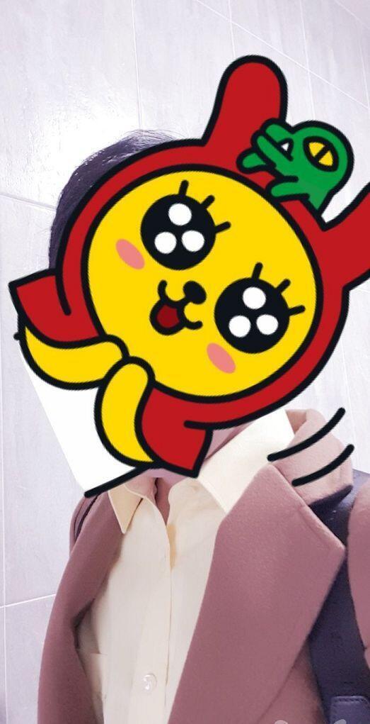 노란셔츠 이로케...