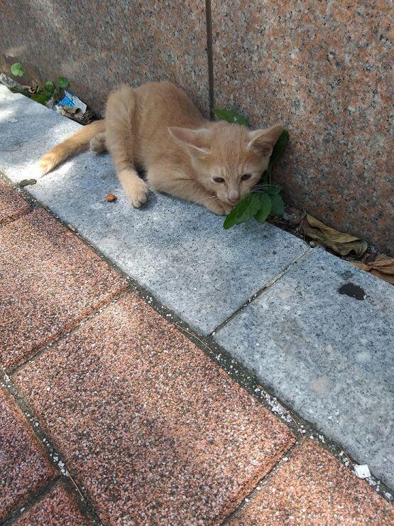 ㅎㅎㅎ