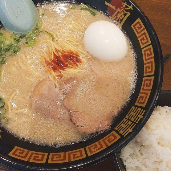 칼국수 초밥 돈코츠라멘