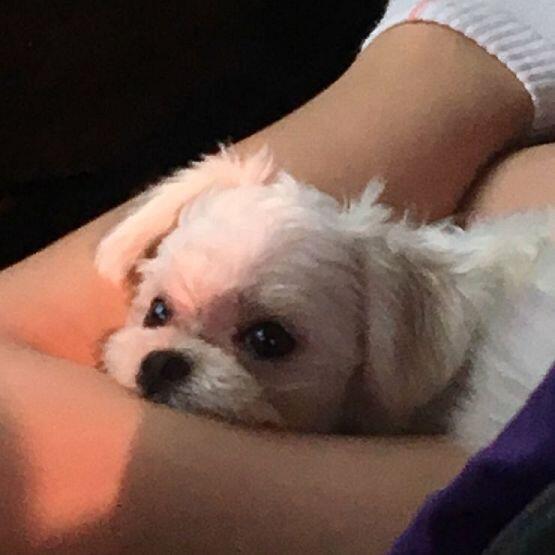 울 갱쥐 차례대로 6개월, 3개월, 6개월 사진!