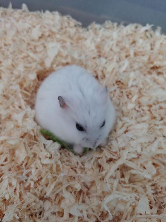 첫번째 아이 우리집 애하고 닮았어!