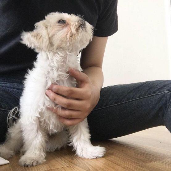 울 갱쥐 차례대로 6개월, 3개월, 6개월 사진!