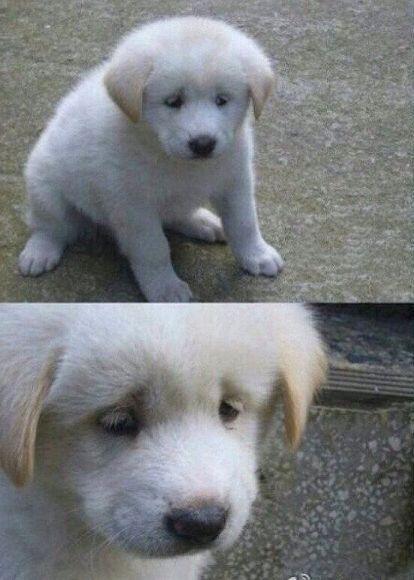 ㅎㅅㅎ