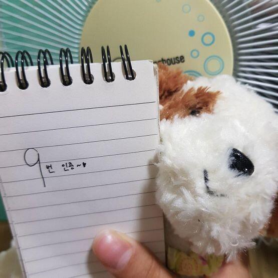 이렇게 하는거 맞나? 인증!
