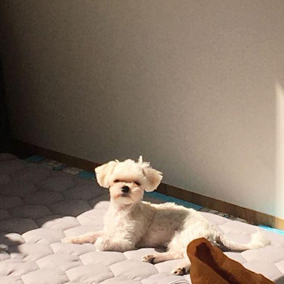 고영은 없고 강지님 계셔