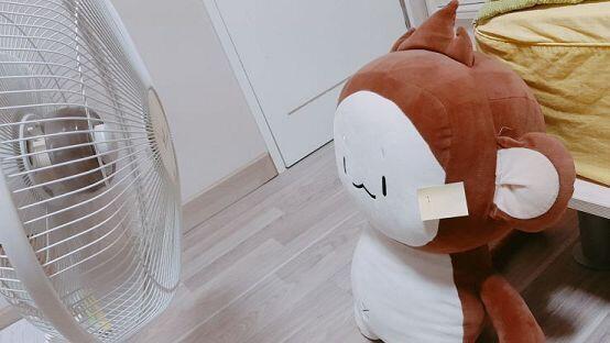 뽀너스 미션