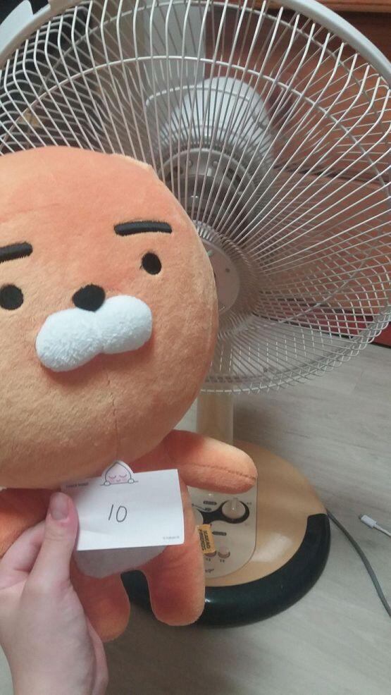 인증!