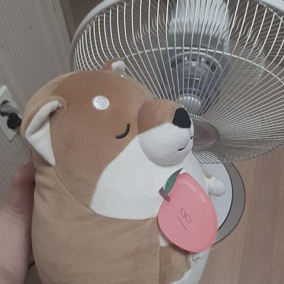 선풍기가 돌아가는 게 잘 보이지 않네