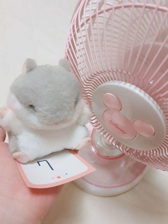 인증!!