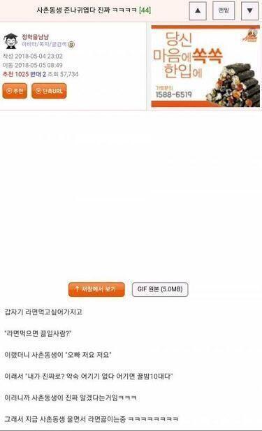 이 스레를 위해 모아둔 것들(1)