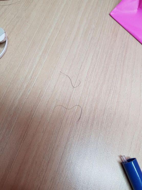 근데 이 털... 뭘까 묘하게 꼬불거려서 더 기분 나쁨 뭐지ㅜ??