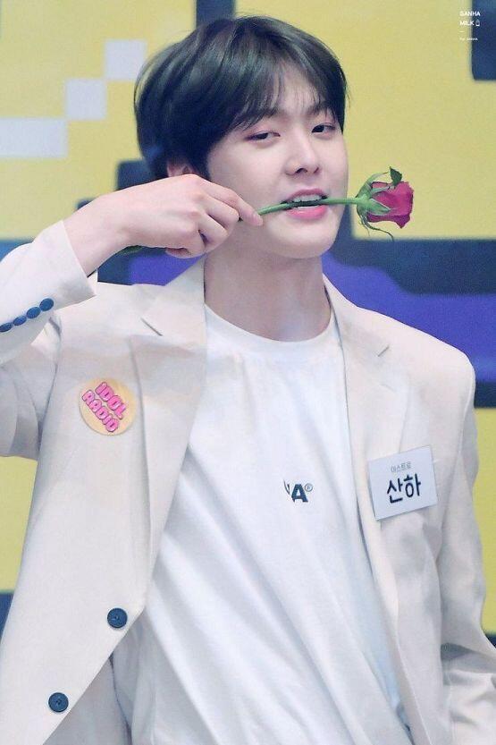 팬은 아니지만 아스트로 산하가 생각났어 귀욤