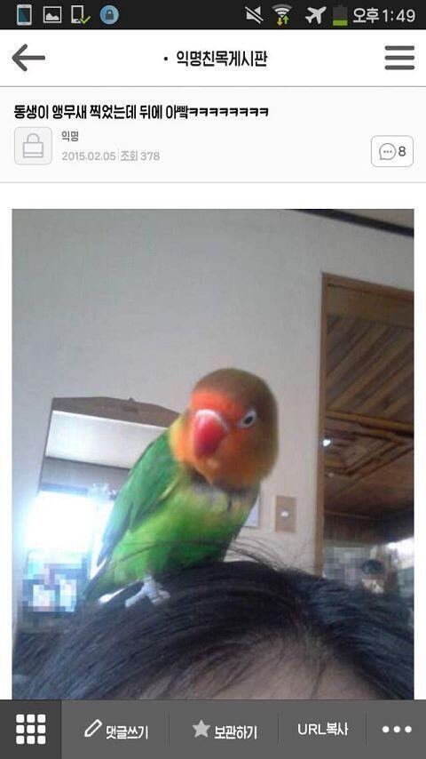얍