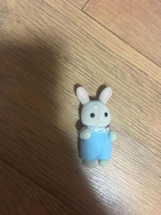 봉제인형은 좀 비싸게 주고 산거라 아까워서 그런데 실바니안 애기 토끼 (기립 못함)로 혼숨하려는데 ㄱㅊ을까?