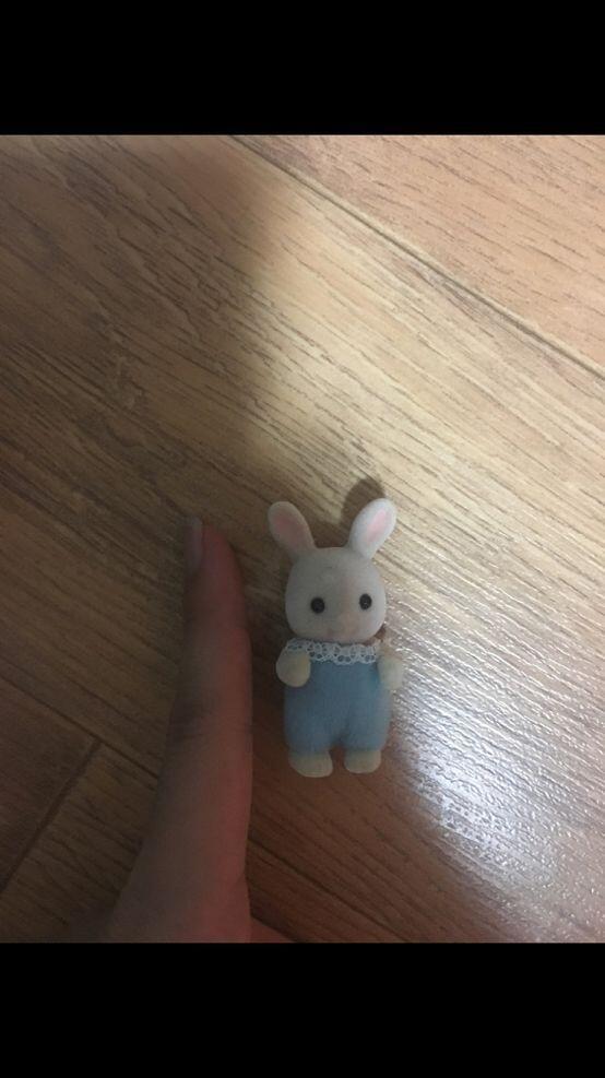 이건 너무 작은가?