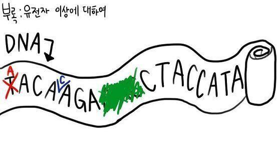 2-1-2. 학생회(아미노산)에서 계획을 수립하고 실행하는 법(DNA가 단백질을 만드는 방법) 1)전사 괜찮은 의견, 개선방법 등등의 여러가지