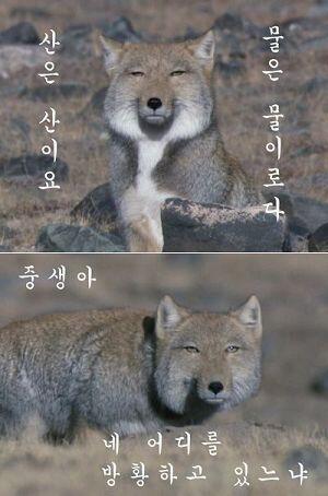 해탈하라