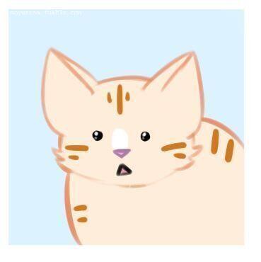 울 집 애기 생각하면서 만들어는 봤는데 흠냐