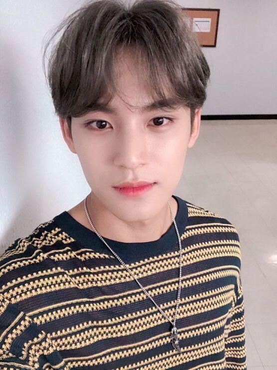 네 당신이 찾는 분 바로 여기있어요 세븐틴 민규..