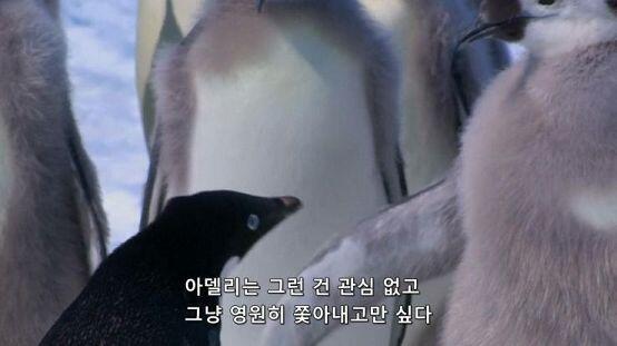 >>75 깡패아델리 죠아