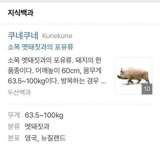>>4 궁금해서 네이버에 쳐봤는데 너무 귀여운게 나와버렸다..