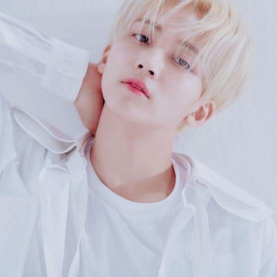 나도 예쁘장한 애들 좋아함 내돌 파는 덬들 다 나랑 같은 생각들인 것 같아서 놀랍고 반가워ㅠㅠㅠㅠㅠ 세븐틴 정한 장발/짧은머리일 때랑 조슈아 놓