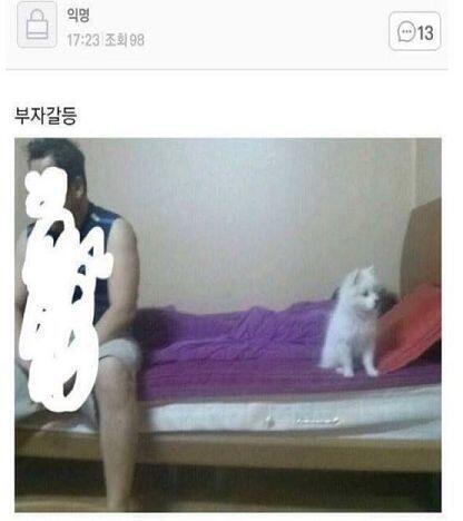 댕댕이 관련 웃짤