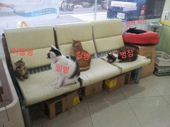 군대 생활관